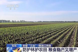 湖人VS鹈鹕述评：胖虎最灿烂时伤退意难平 多持球点红利反哺詹眉